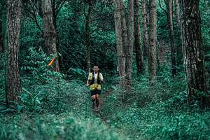 BIB: 
                            <button type="button" onclick="openModal(25238206)" class="btn btn-primary btn-sm float-right btn-popup" data-toggle="modal" data-target=".modal-high-quality">
                        <i class="fas fa-shopping-cart"></i> Add to Cart
                    </button>
                                            <button type="button" onclick="isThisMe(25238206, true)" class="btn btn-success btn-sm float-right btn-popup btn-isme hidden" data-toggle="tooltip" data-placement="bottom" title="นี่คือรูปของคุณใช่ไหม คลิกที่นี่เพื่อเอาเข้าอัลบั้ม">
                        <i class="fas fa-plus"></i> Add to album
                    </button>
                    <button type="button" onclick="isThisMe(25238206, false)" class="btn btn-warning btn-sm float-right btn-popup btn-isnotme hidden">
                        <i class="fas fa-ban"></i> Remove from album
                    </button>